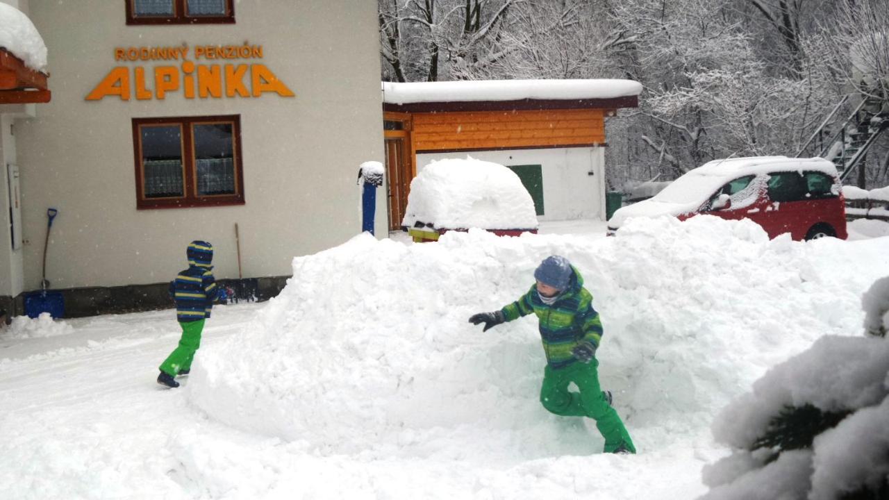 Rodinne Apartmany Alpinka オシュチュニツァ エクステリア 写真