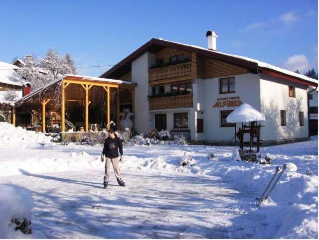Rodinne Apartmany Alpinka オシュチュニツァ エクステリア 写真